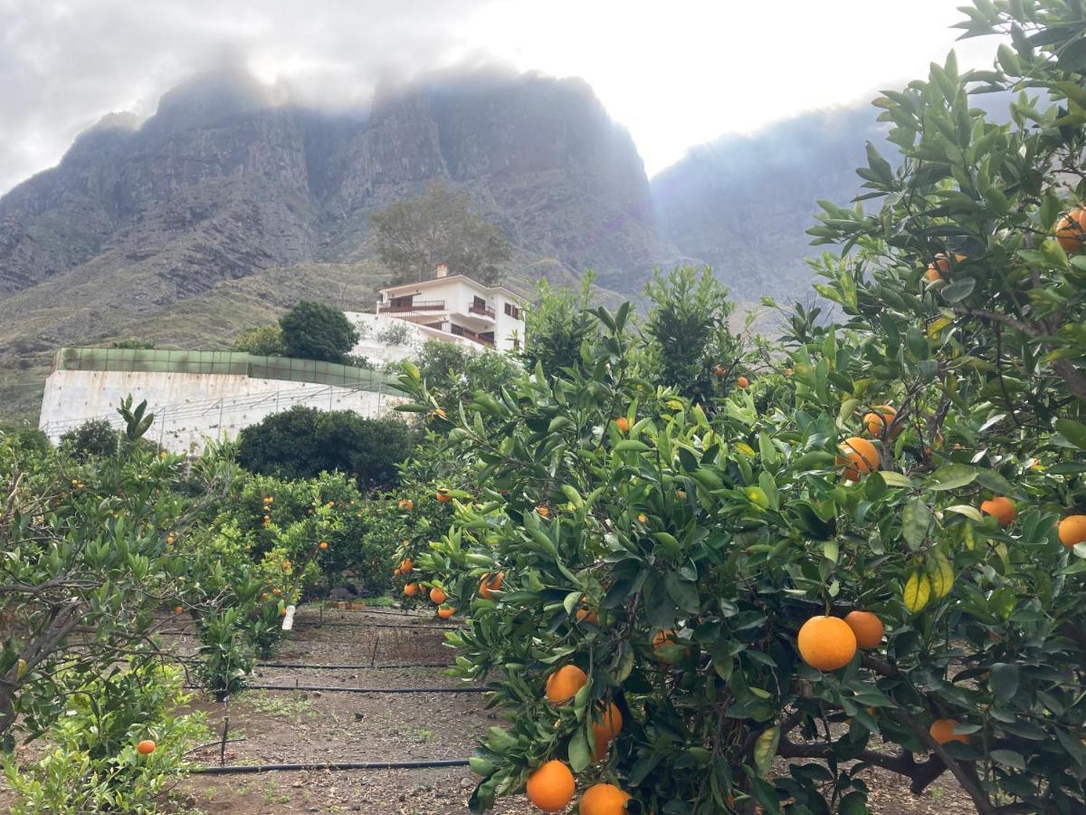 Casa Camino Tamadaba II Lägenhet Agaete  Exteriör bild