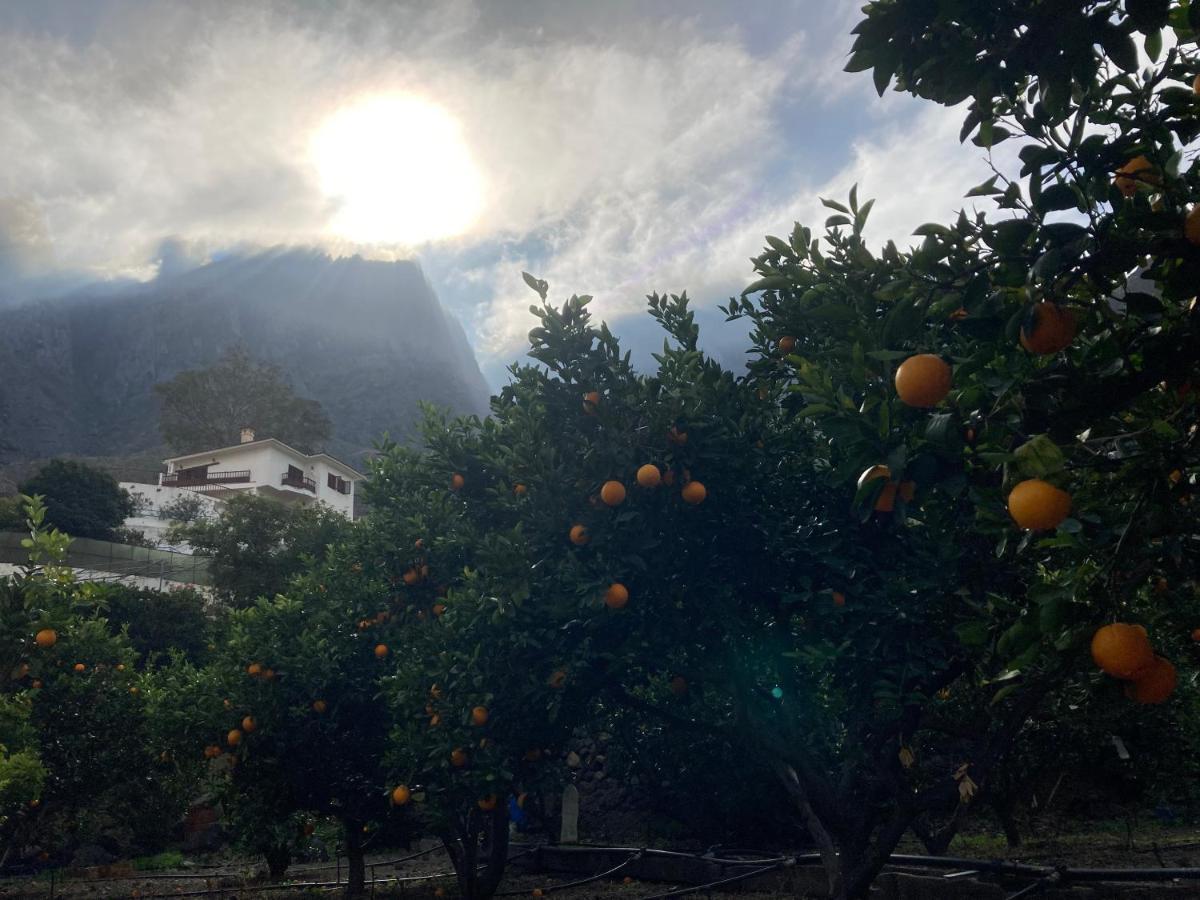 Casa Camino Tamadaba II Lägenhet Agaete  Exteriör bild