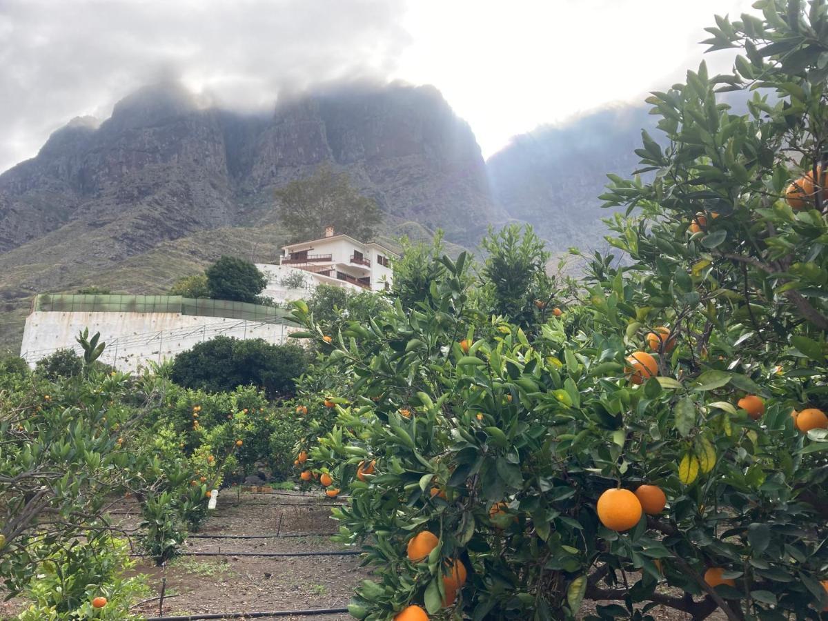 Casa Camino Tamadaba II Lägenhet Agaete  Exteriör bild