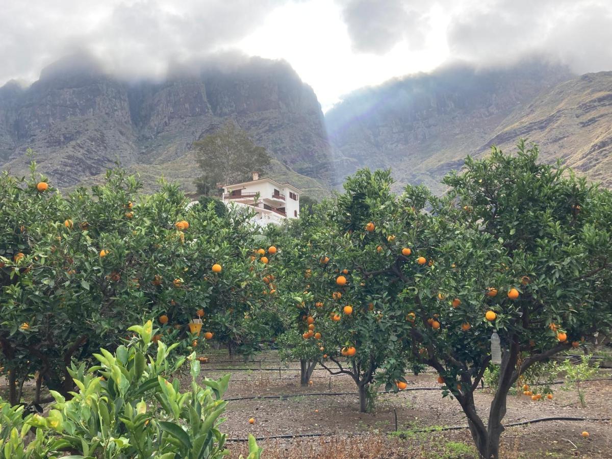 Casa Camino Tamadaba II Lägenhet Agaete  Exteriör bild