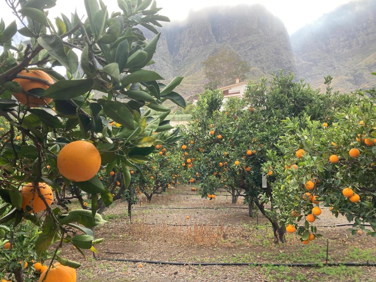 Casa Camino Tamadaba II Lägenhet Agaete  Exteriör bild