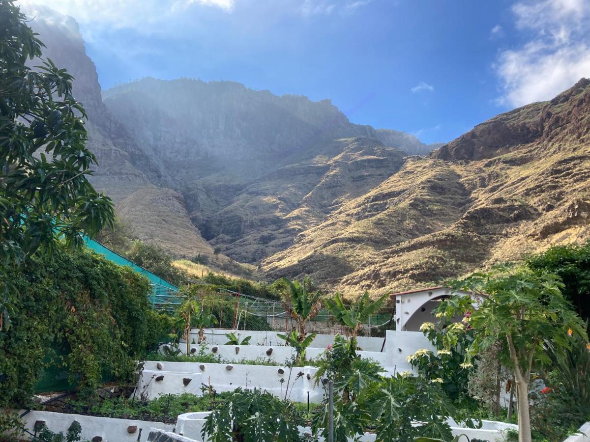 Casa Camino Tamadaba II Lägenhet Agaete  Exteriör bild